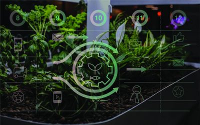 Smartgrow Solutions – hyvinvointia kasvien ja kalojen välityksellä