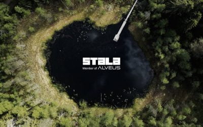 Stala – brändin rakentaminen videorajapinnassa